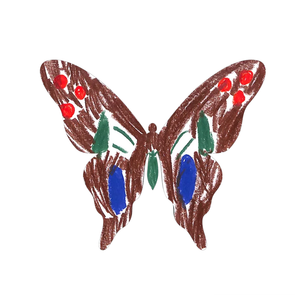 Original Butterfly Image