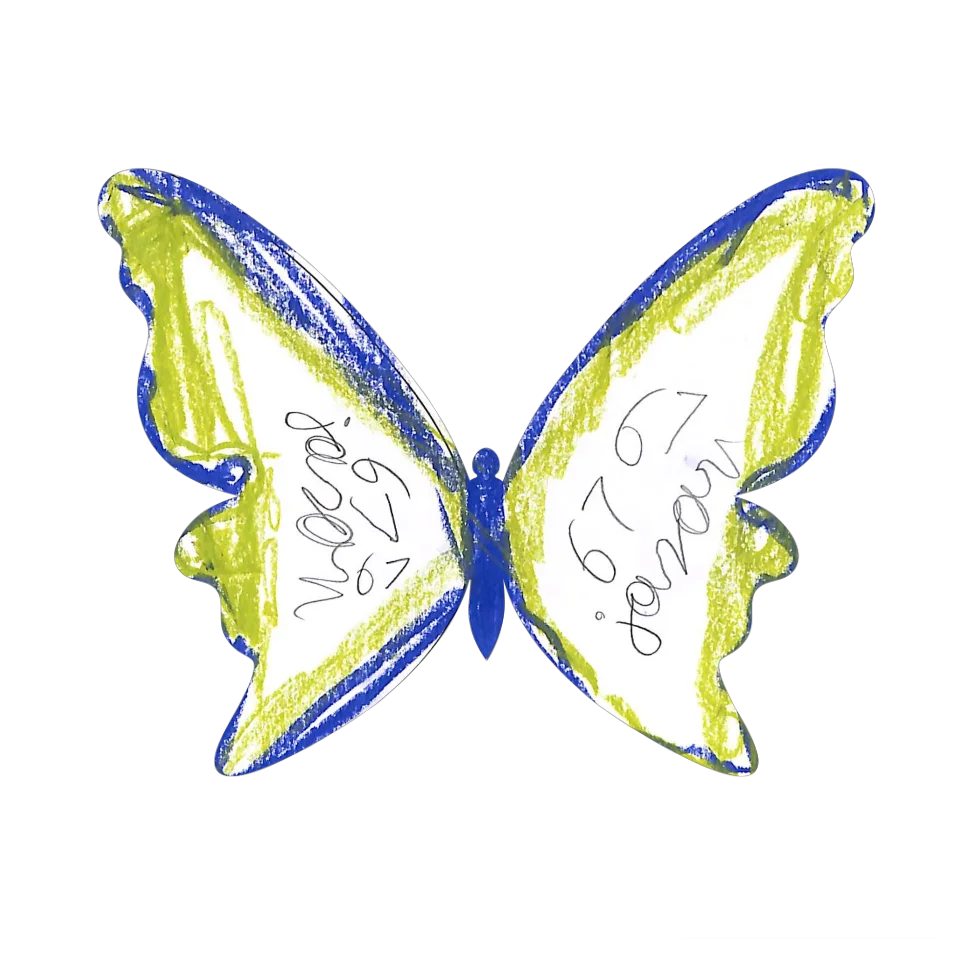 Original Butterfly Image
