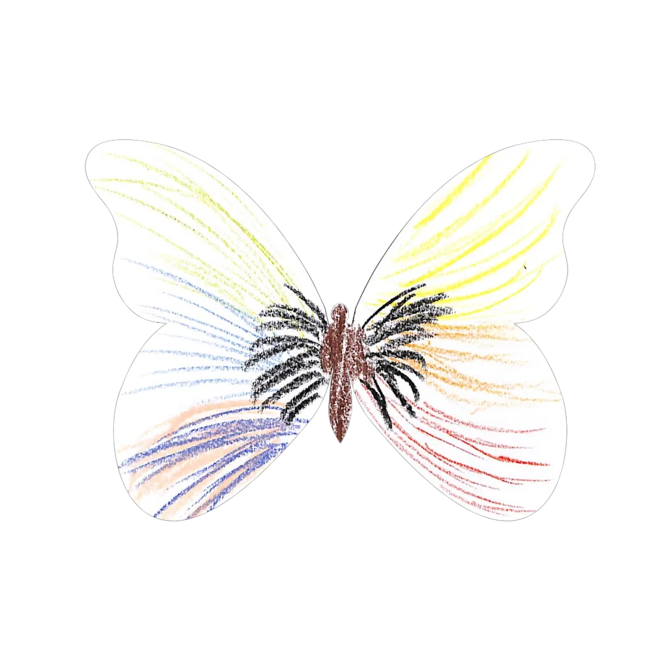 Original Butterfly Image
