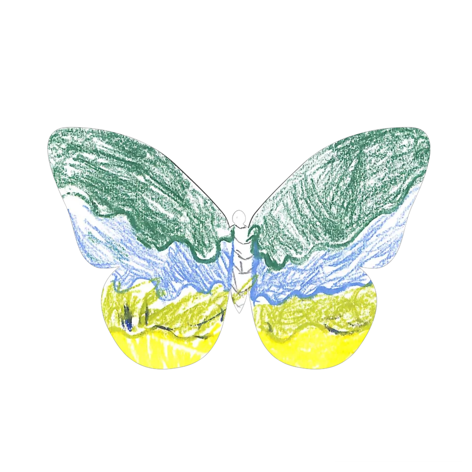 Original Butterfly Image