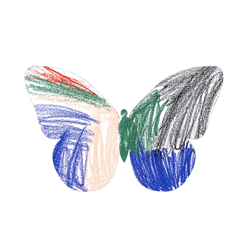 Original Butterfly Image