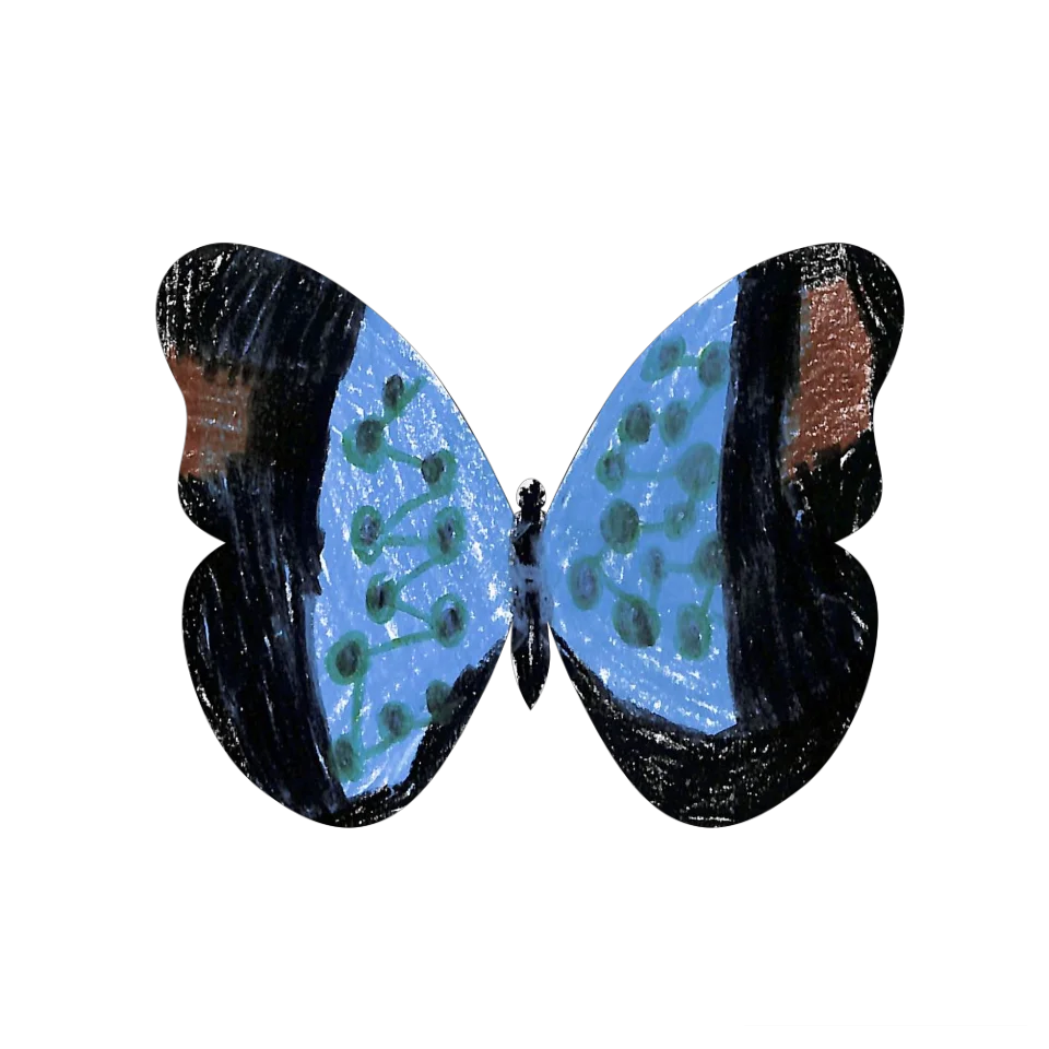 Original Butterfly Image