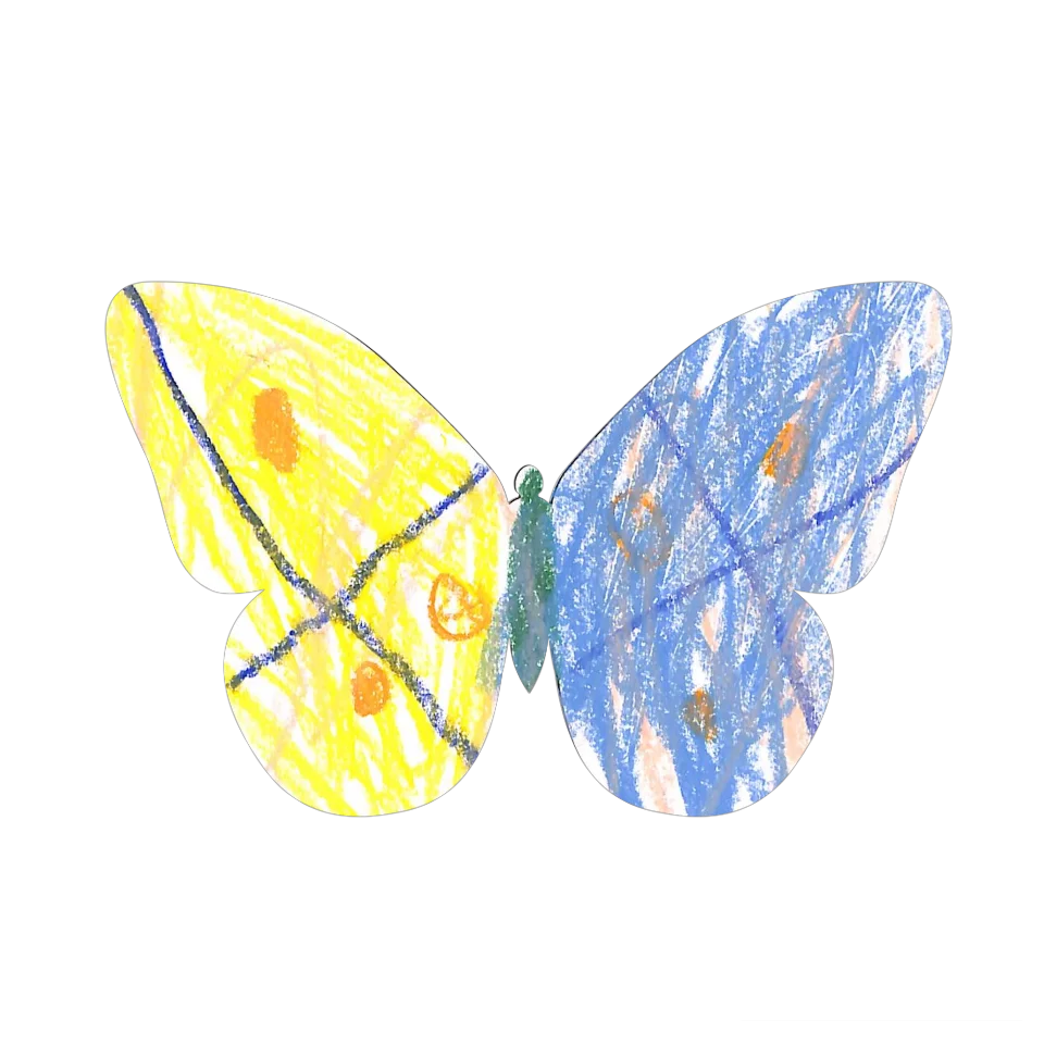 Original Butterfly Image