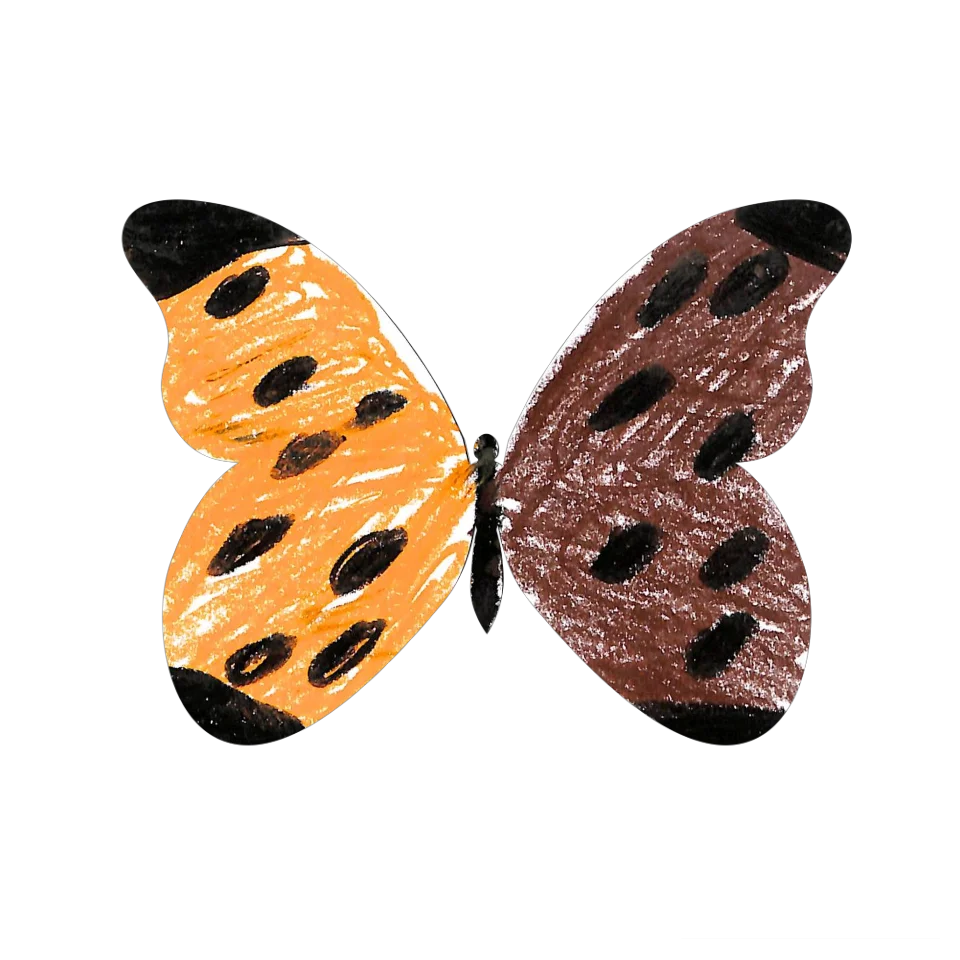 Original Butterfly Image