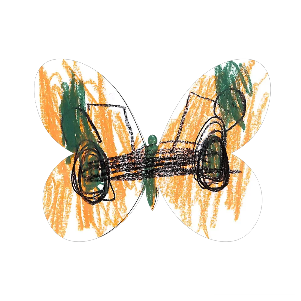Original Butterfly Image