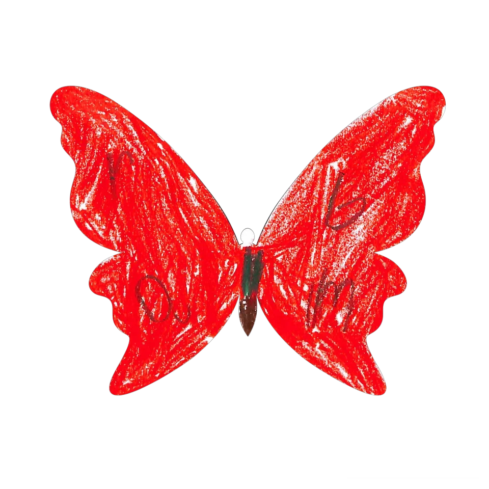 Original Butterfly Image