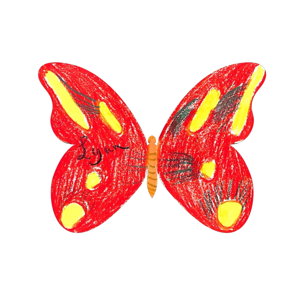 Original Butterfly Image
