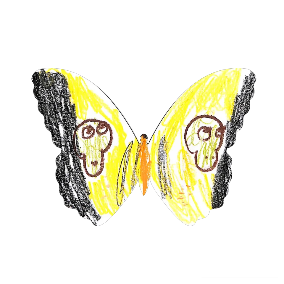 Original Butterfly Image