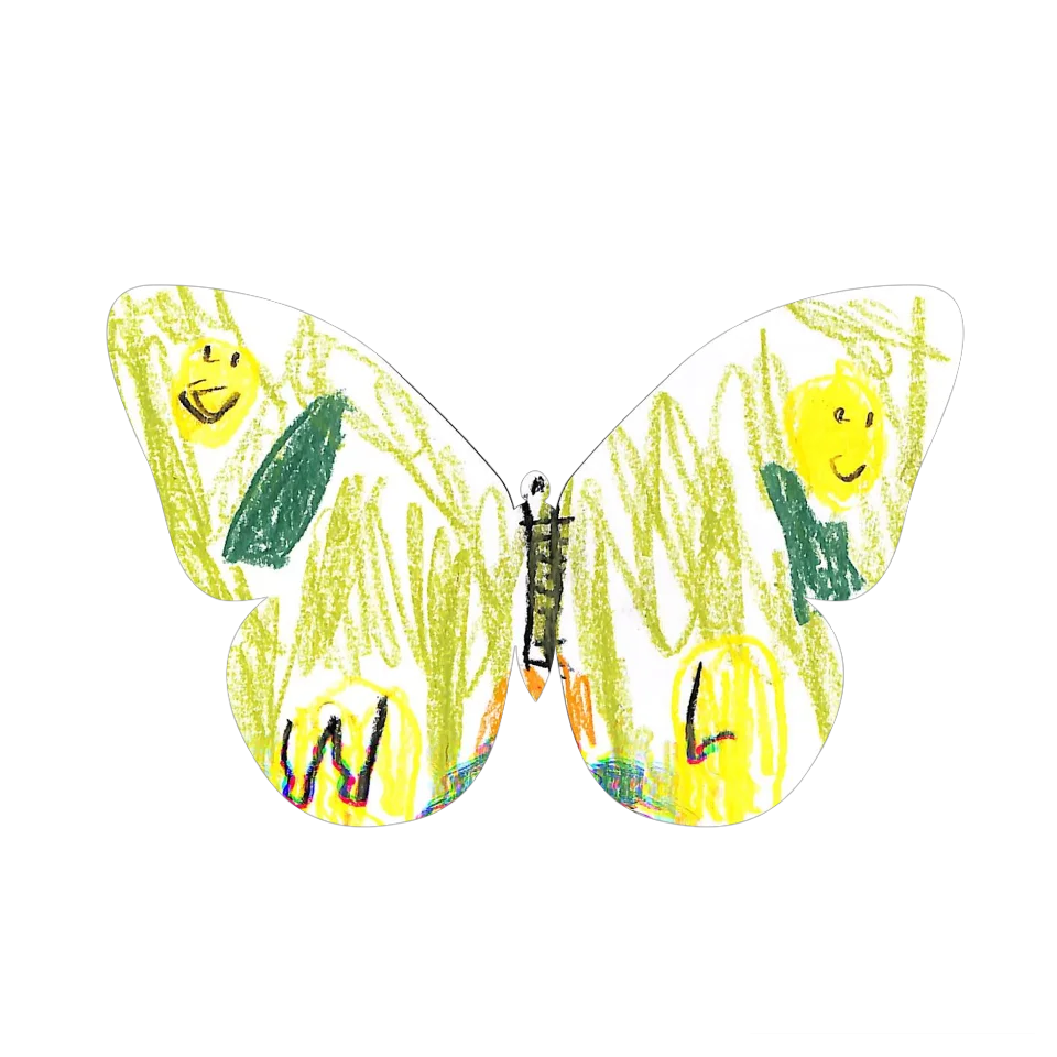 Original Butterfly Image