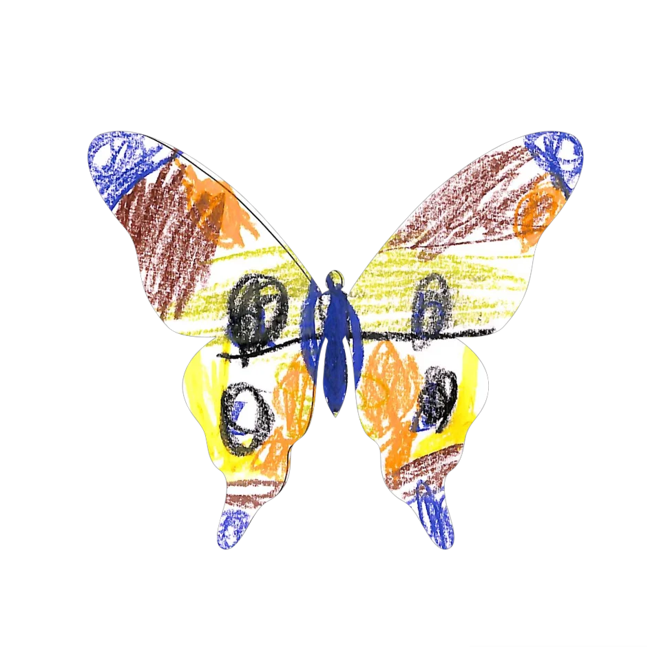 Original Butterfly Image