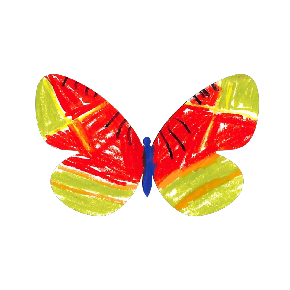 Original Butterfly Image