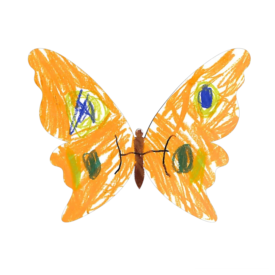 Original Butterfly Image