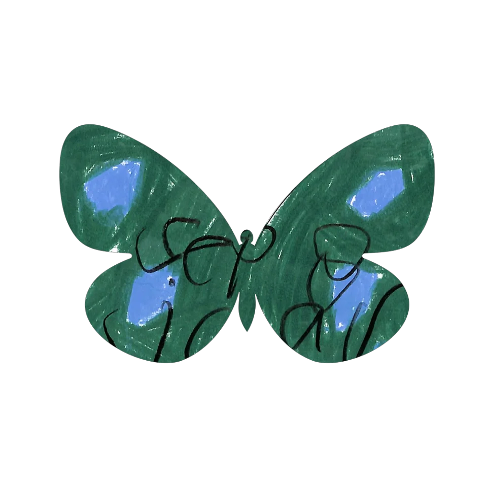 Original Butterfly Image