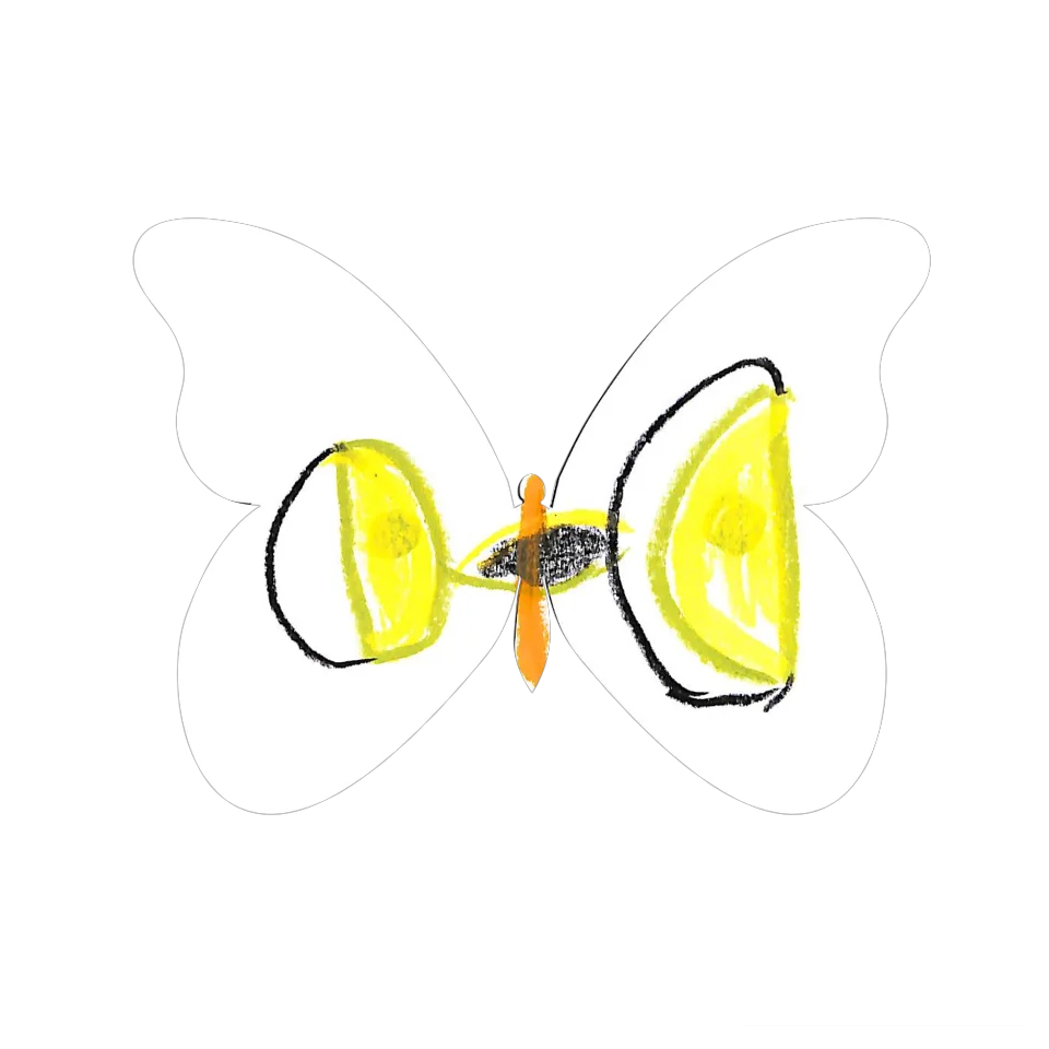 Original Butterfly Image