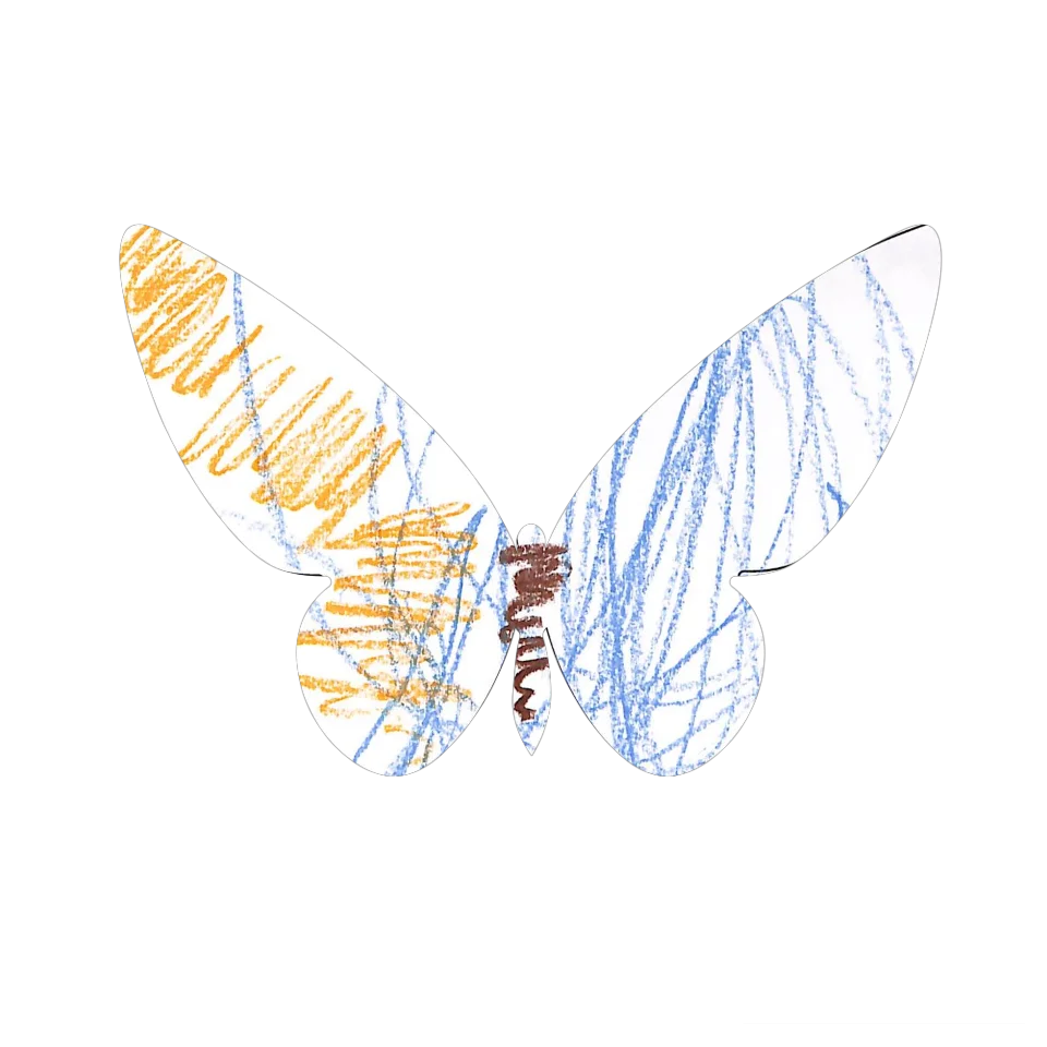 Original Butterfly Image