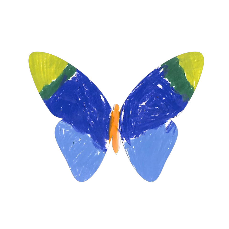 Original Butterfly Image