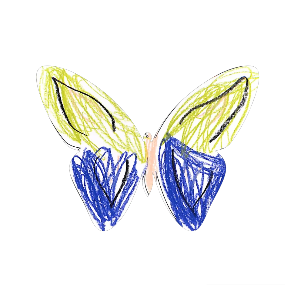 Original Butterfly Image