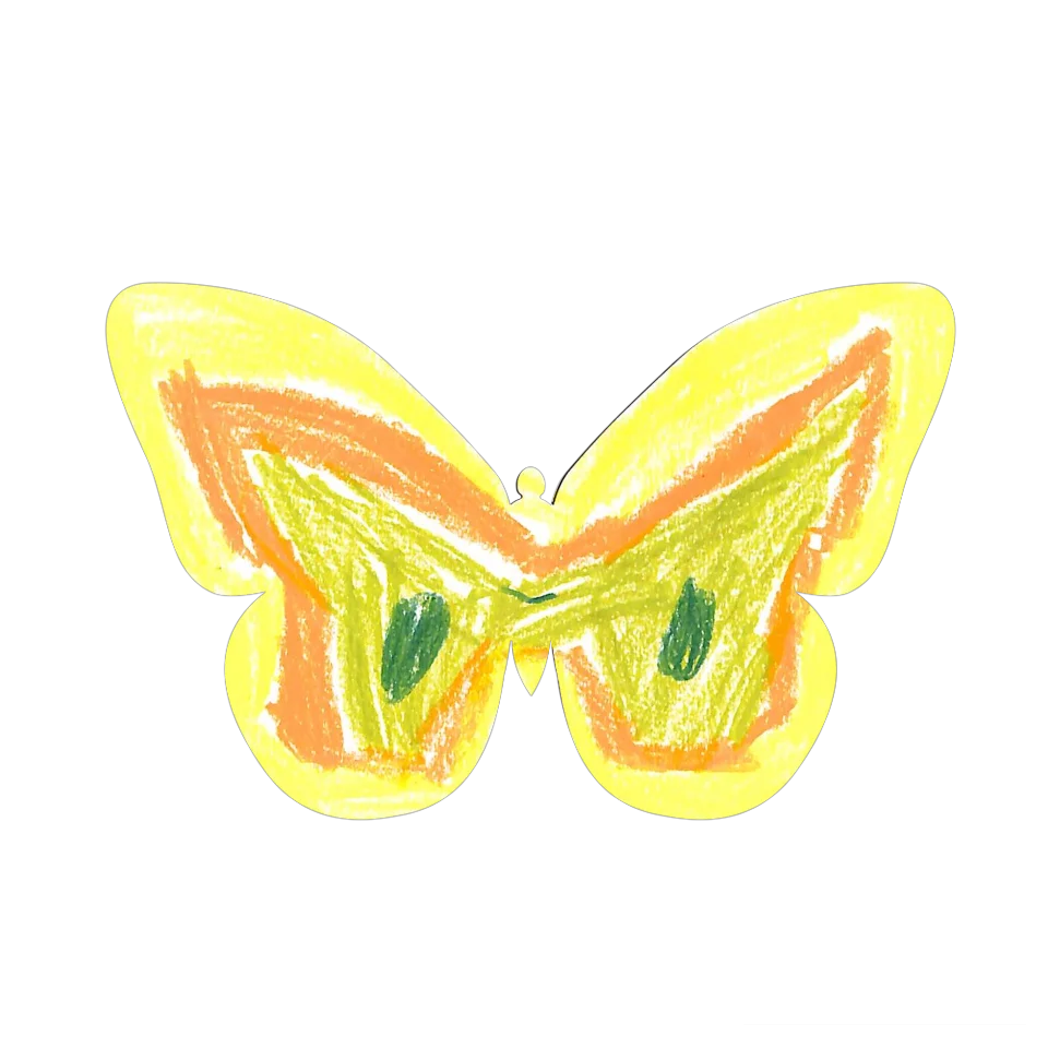 Original Butterfly Image