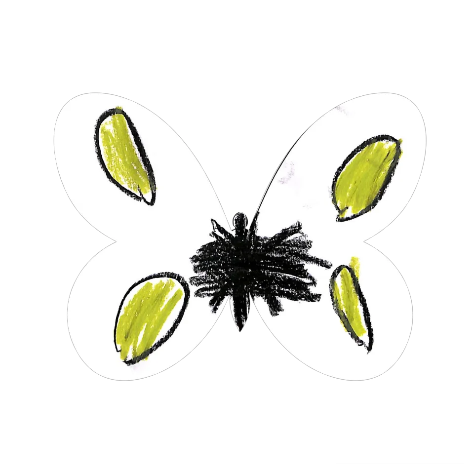 Original Butterfly Image