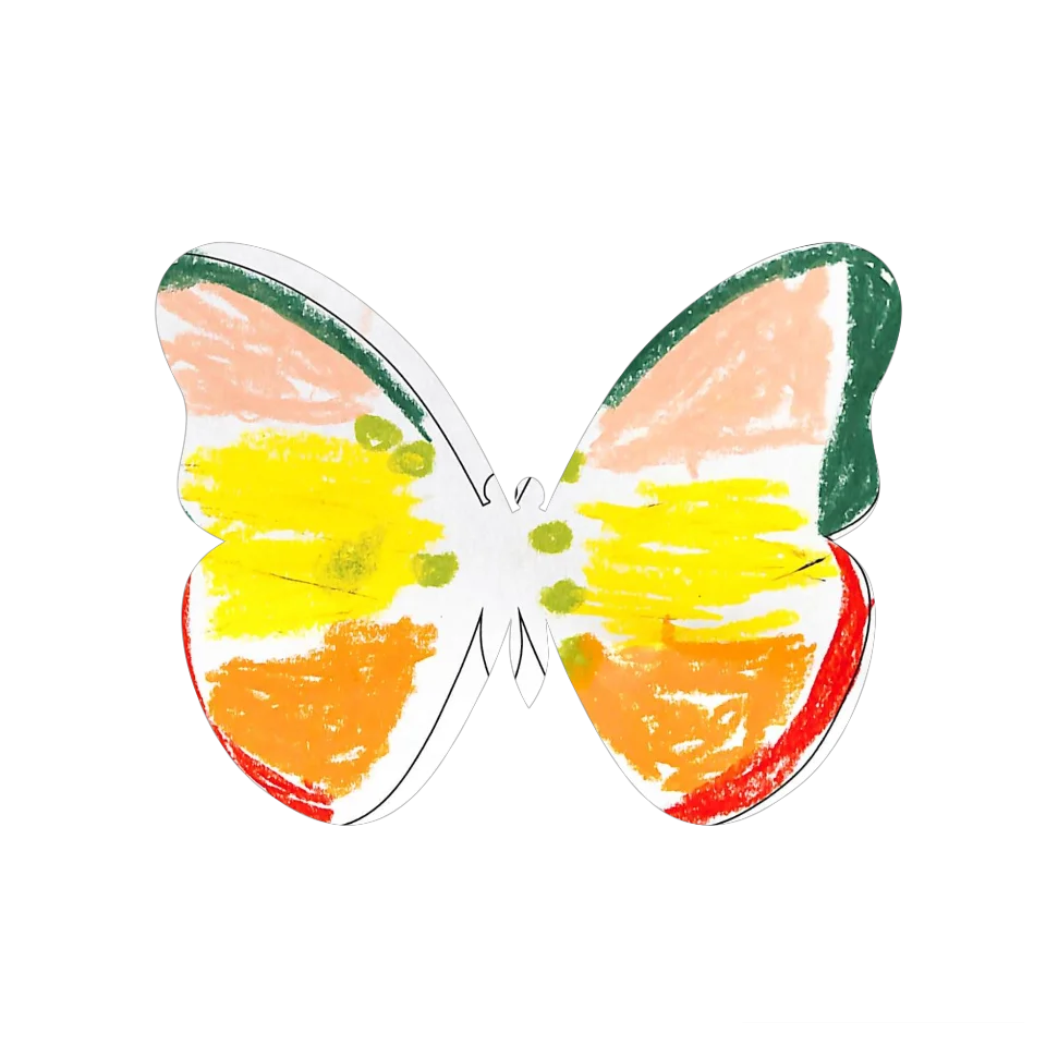 Original Butterfly Image
