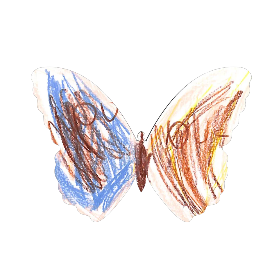 Original Butterfly Image