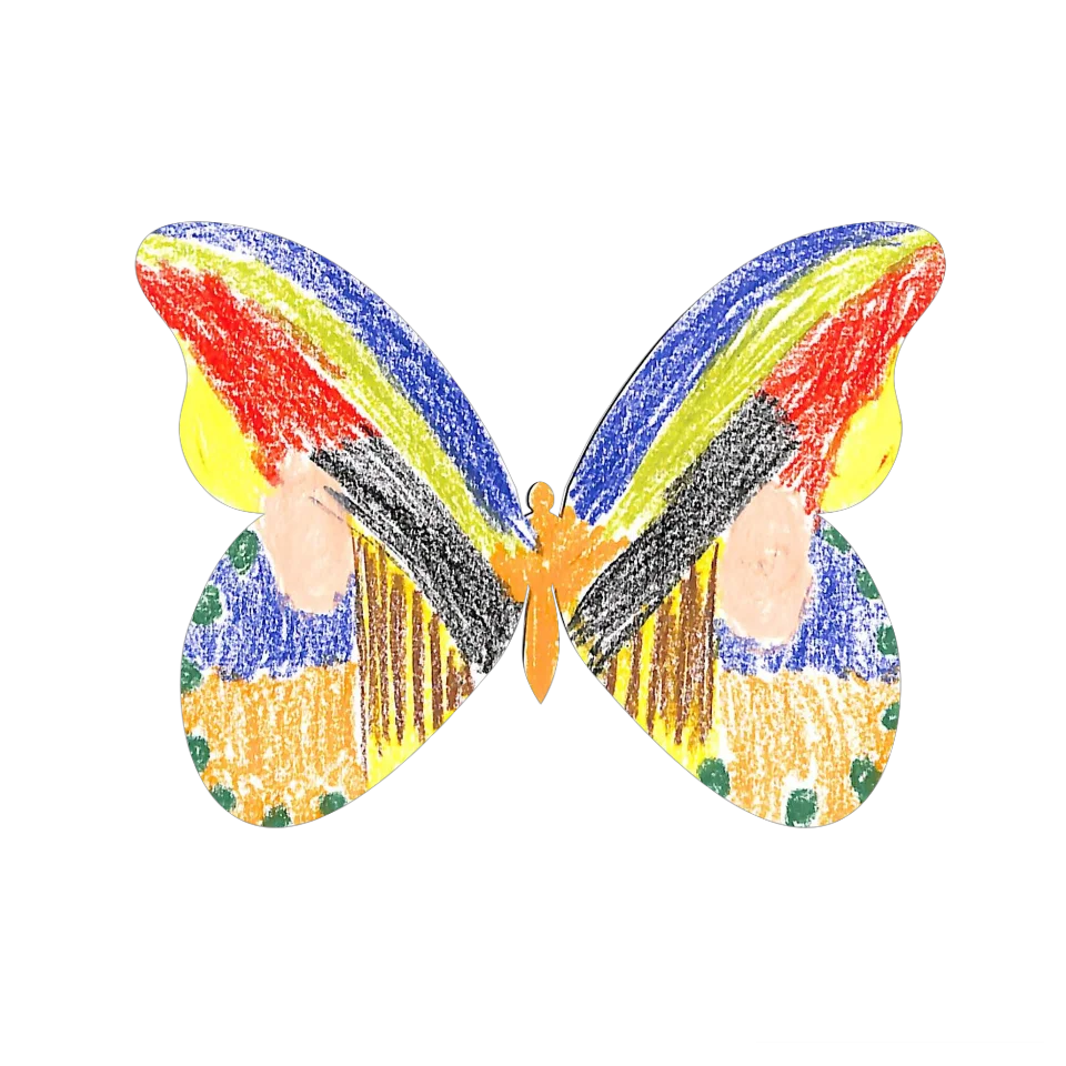 Original Butterfly Image