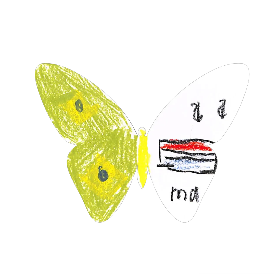 Original Butterfly Image