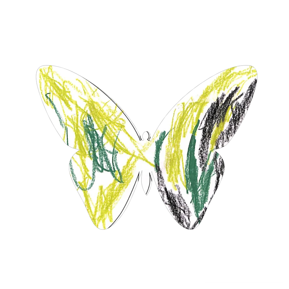 Original Butterfly Image