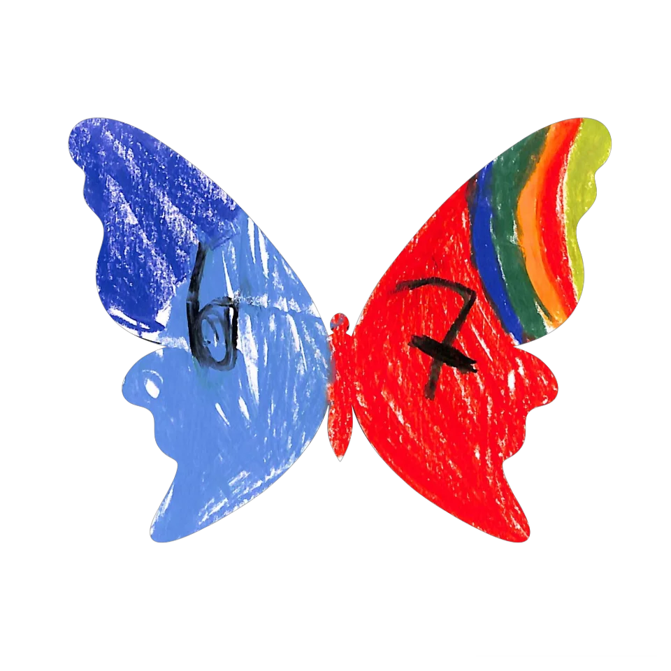 Original Butterfly Image