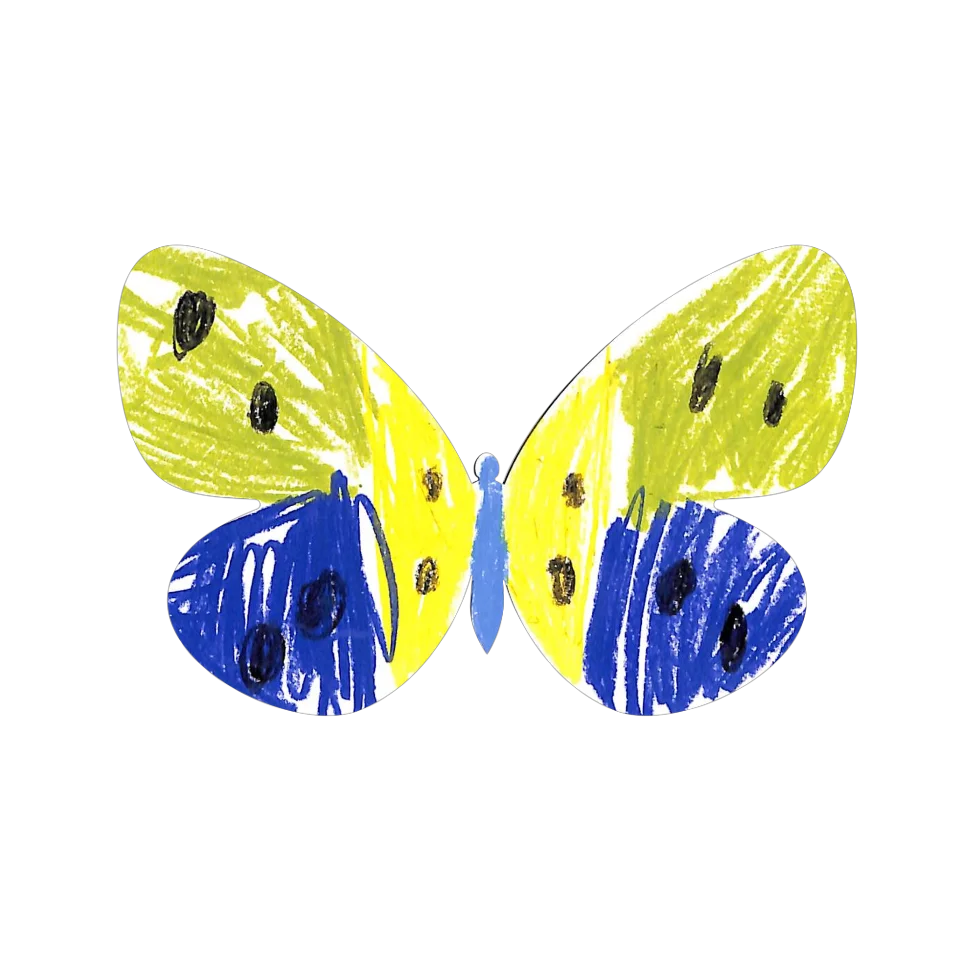 Original Butterfly Image