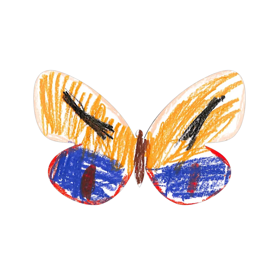 Original Butterfly Image