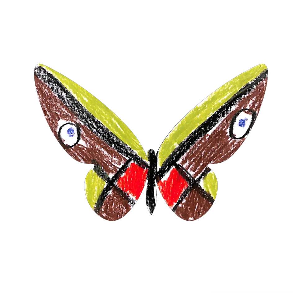 Original Butterfly Image