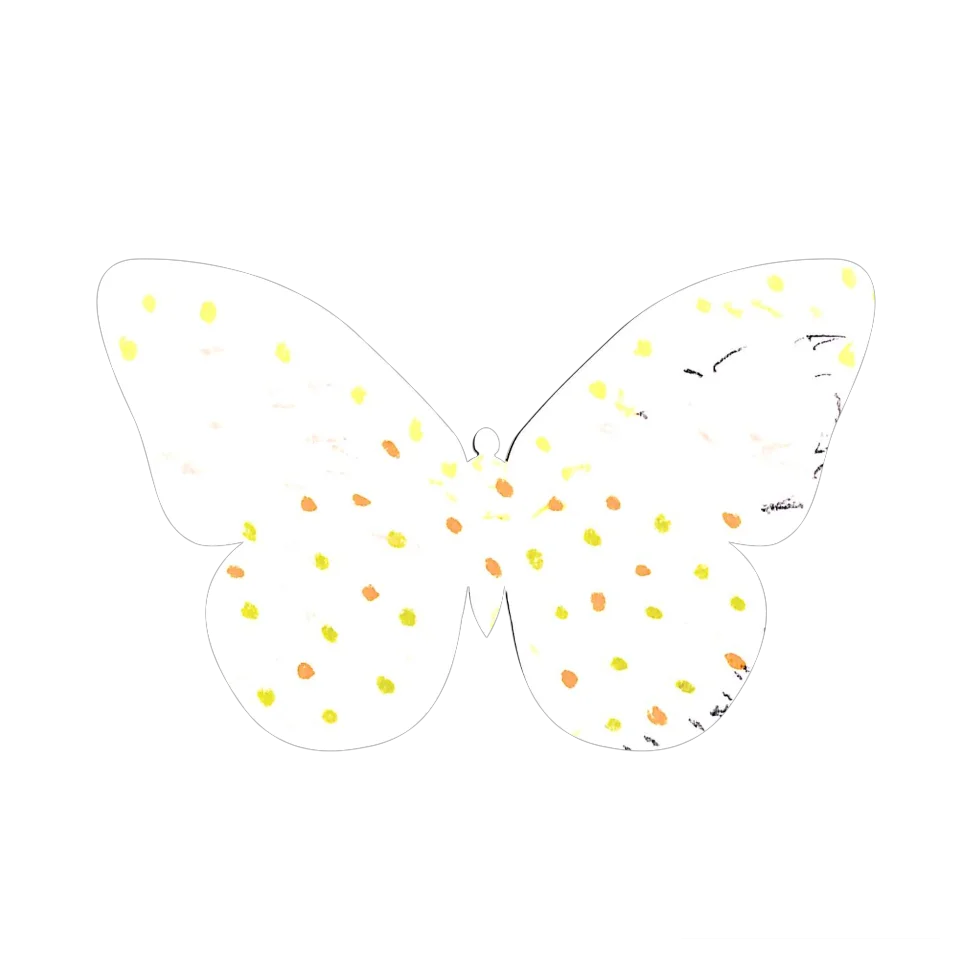 Original Butterfly Image