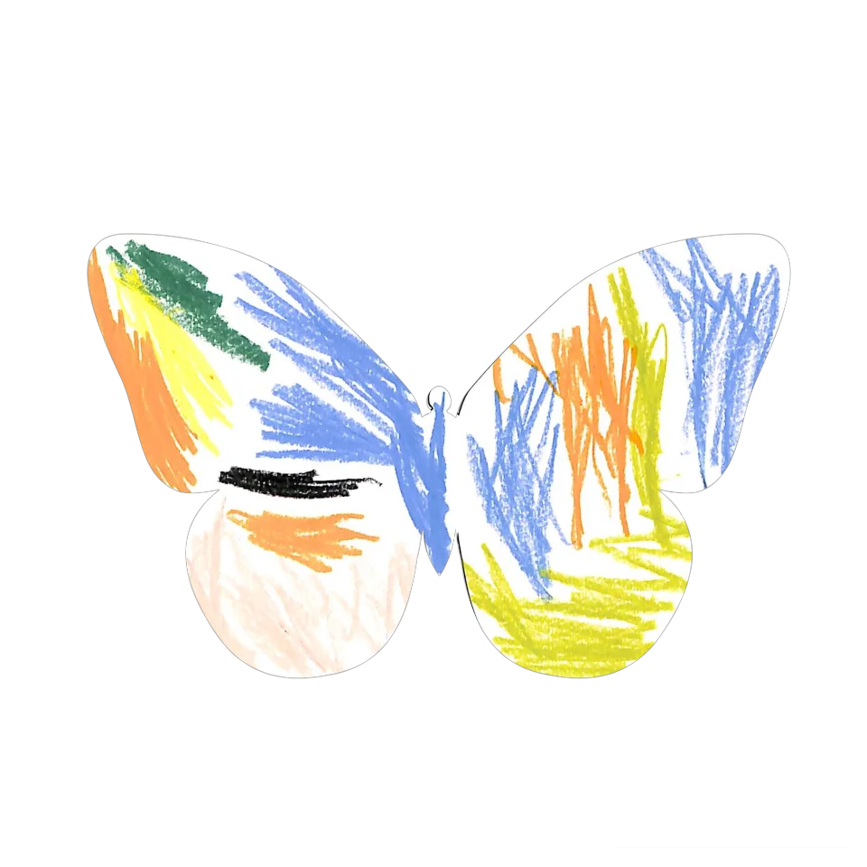 Original Butterfly Image