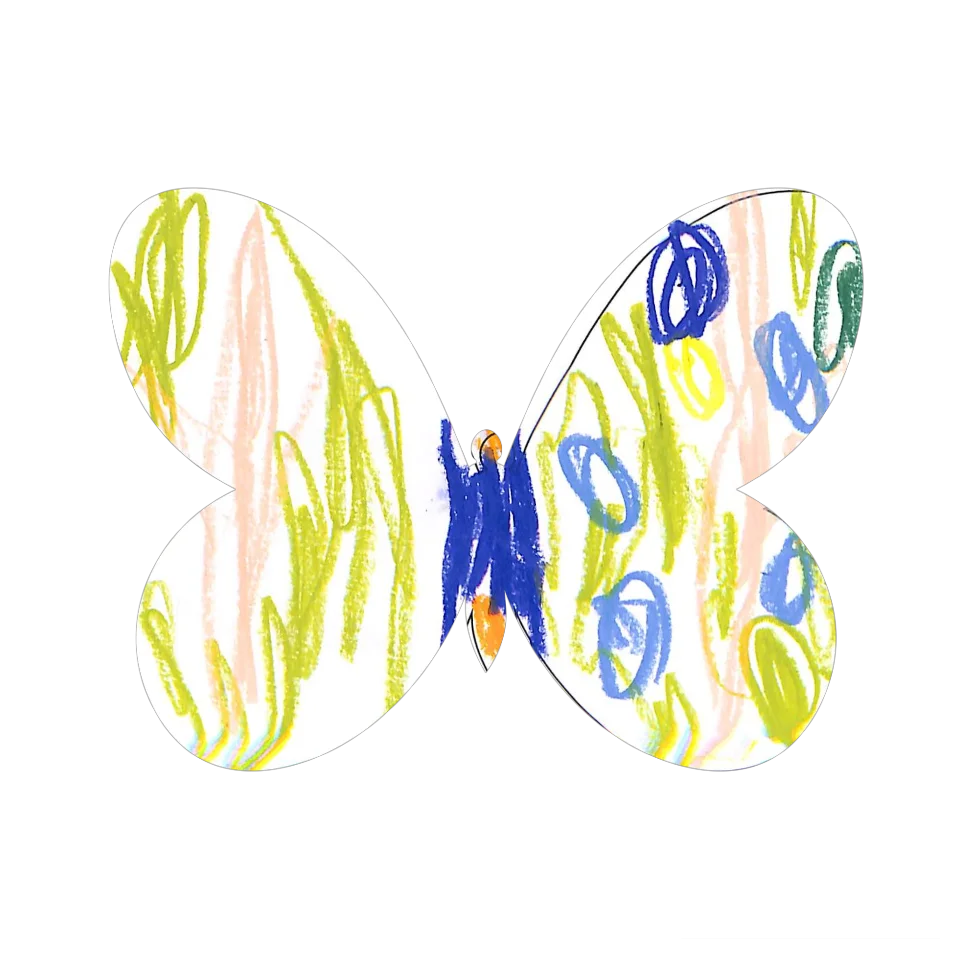 Original Butterfly Image