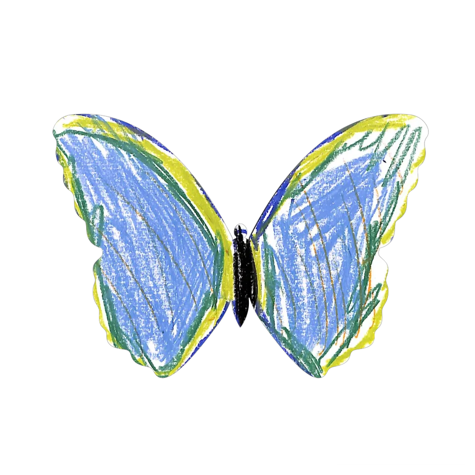 Original Butterfly Image