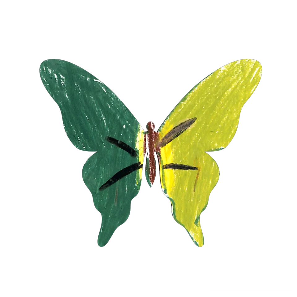 Original Butterfly Image