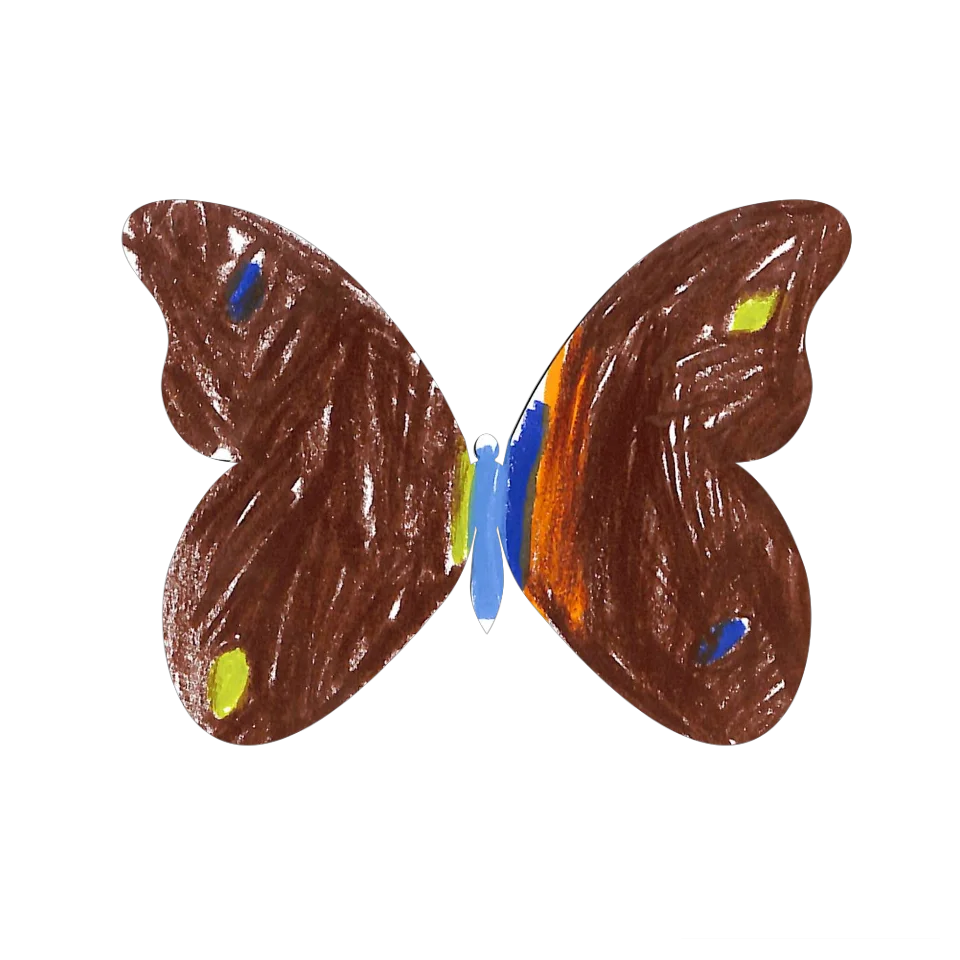 Original Butterfly Image