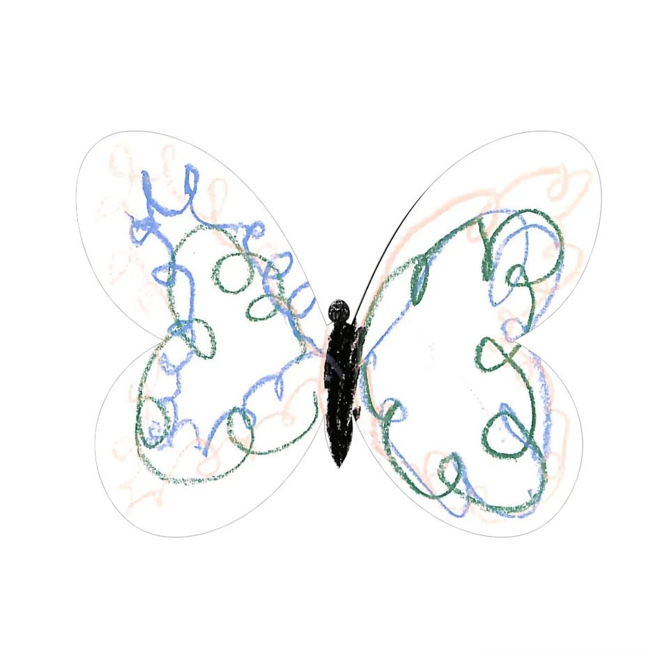 Original Butterfly Image