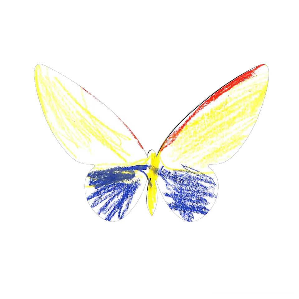 Original Butterfly Image