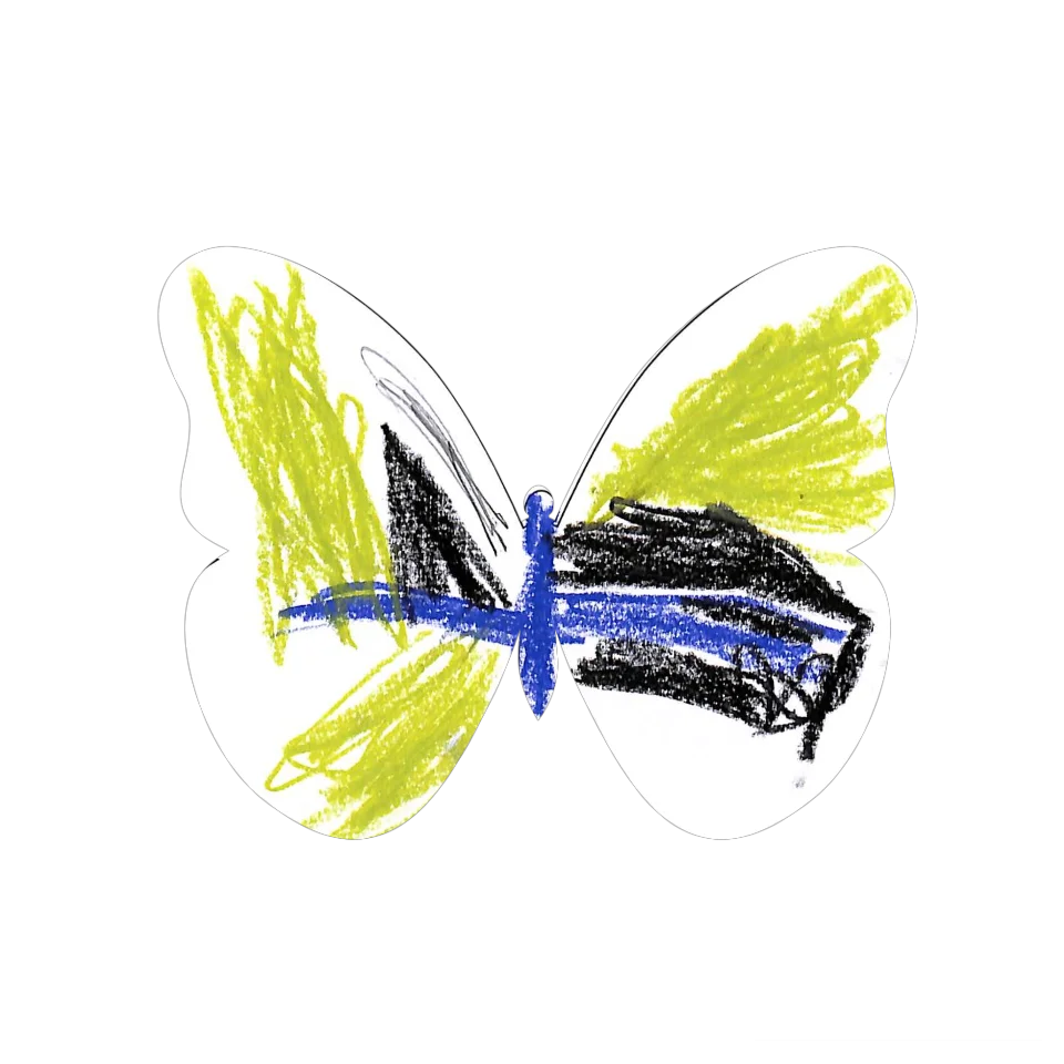 Original Butterfly Image