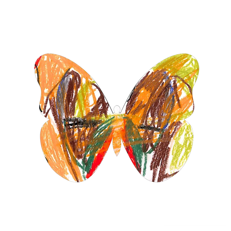 Original Butterfly Image