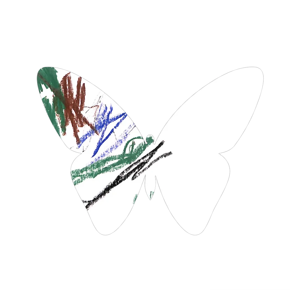 Original Butterfly Image