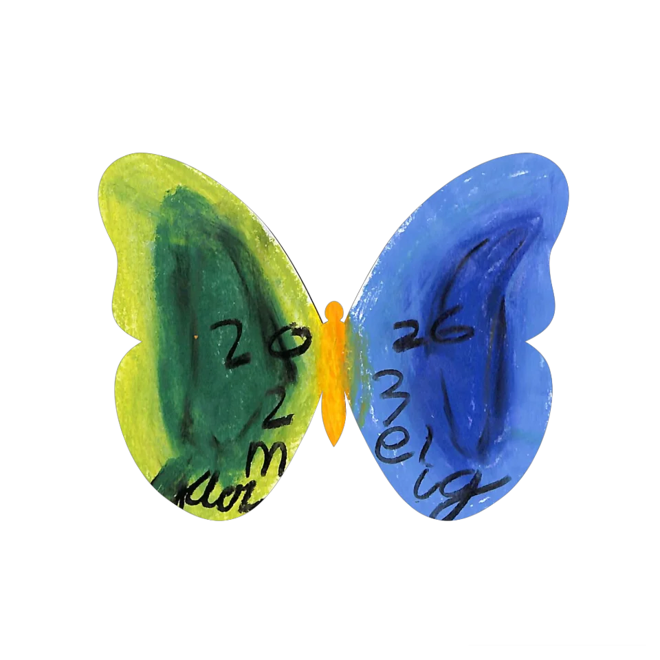Original Butterfly Image