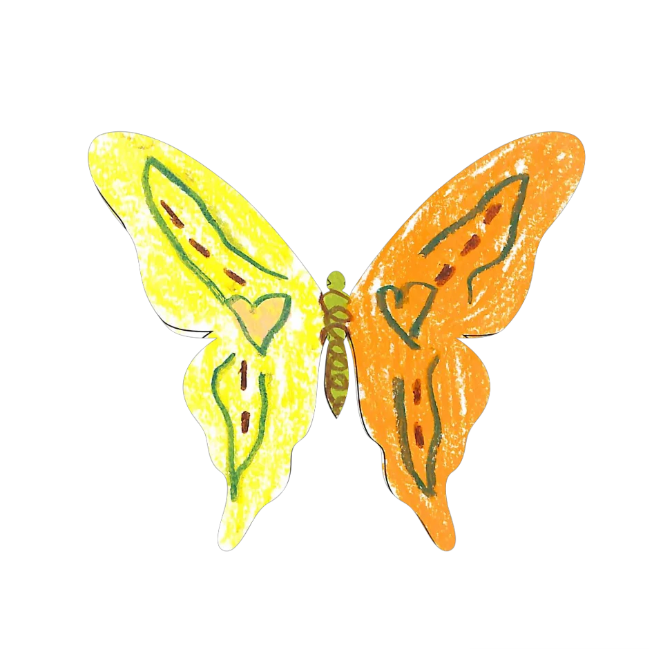 Original Butterfly Image