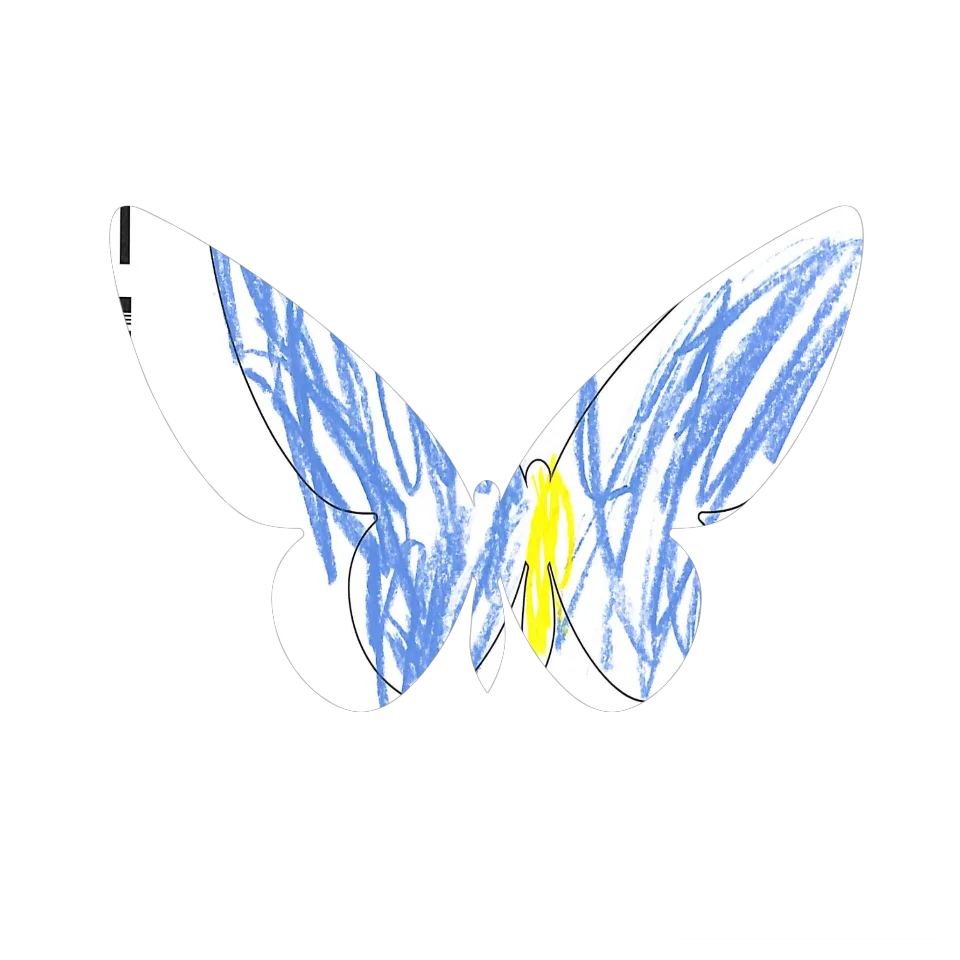 Original Butterfly Image