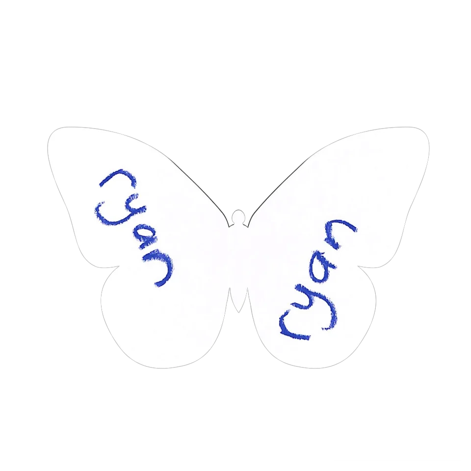 Original Butterfly Image