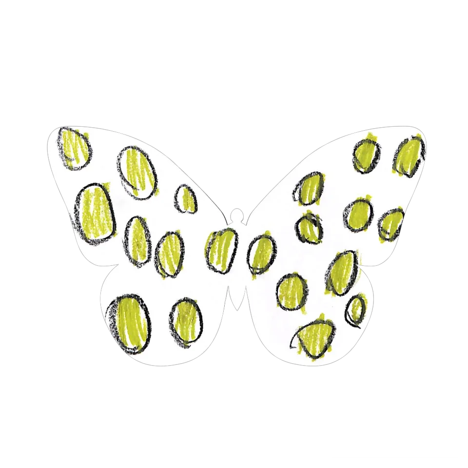 Original Butterfly Image