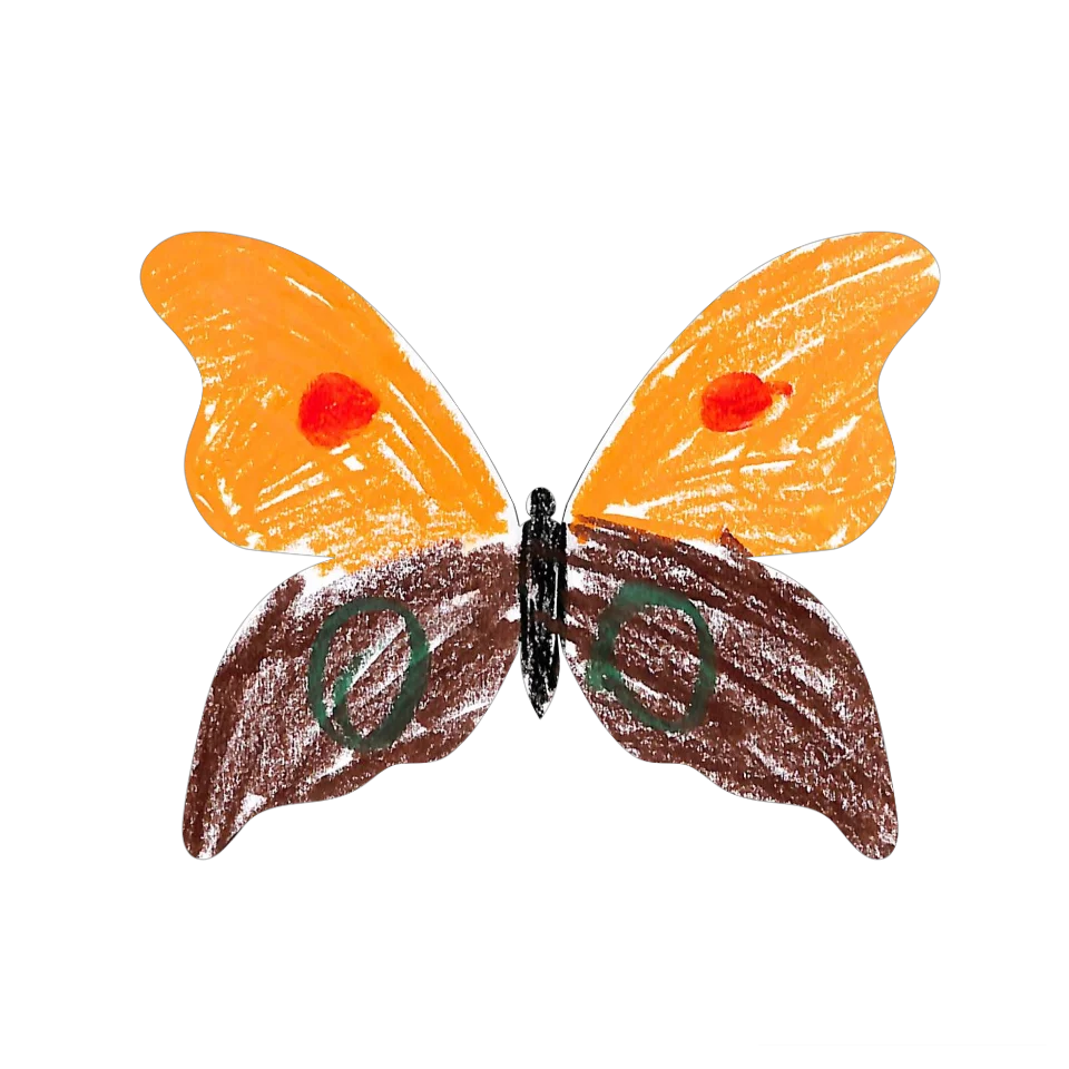 Original Butterfly Image