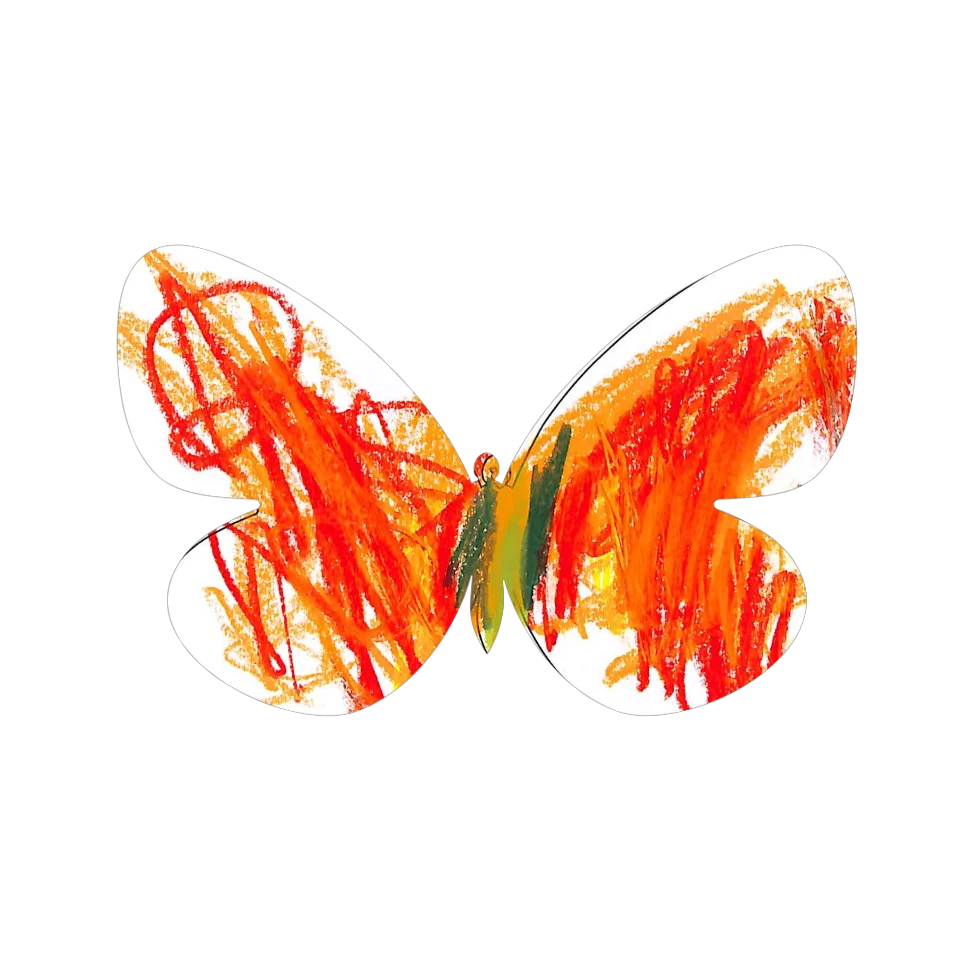 Original Butterfly Image
